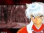 Inuyasha (40)